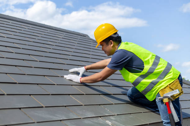 Best Roof Moss and Algae Removal  in Nashua, NH